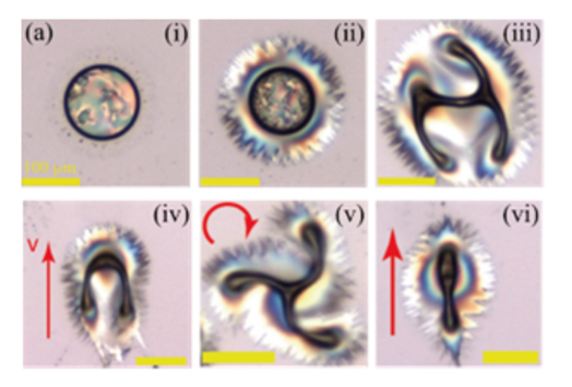 Wigner ferroelecric nematic droplets