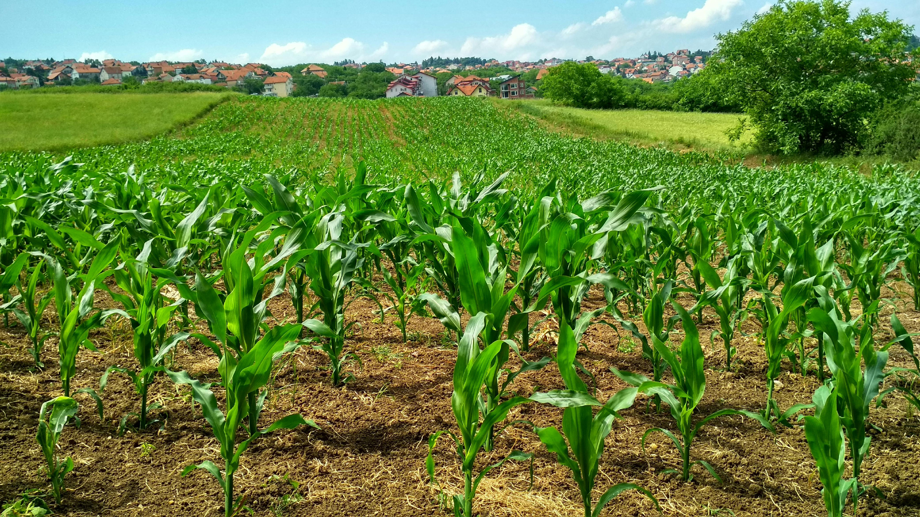 CERS women sustainable farming