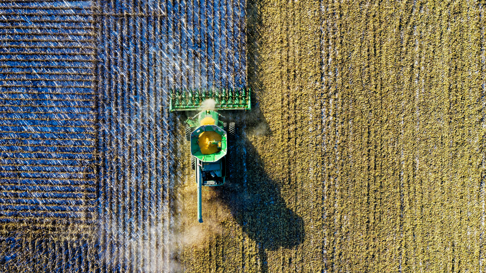 Research reveals why women-led farms are more sustainable