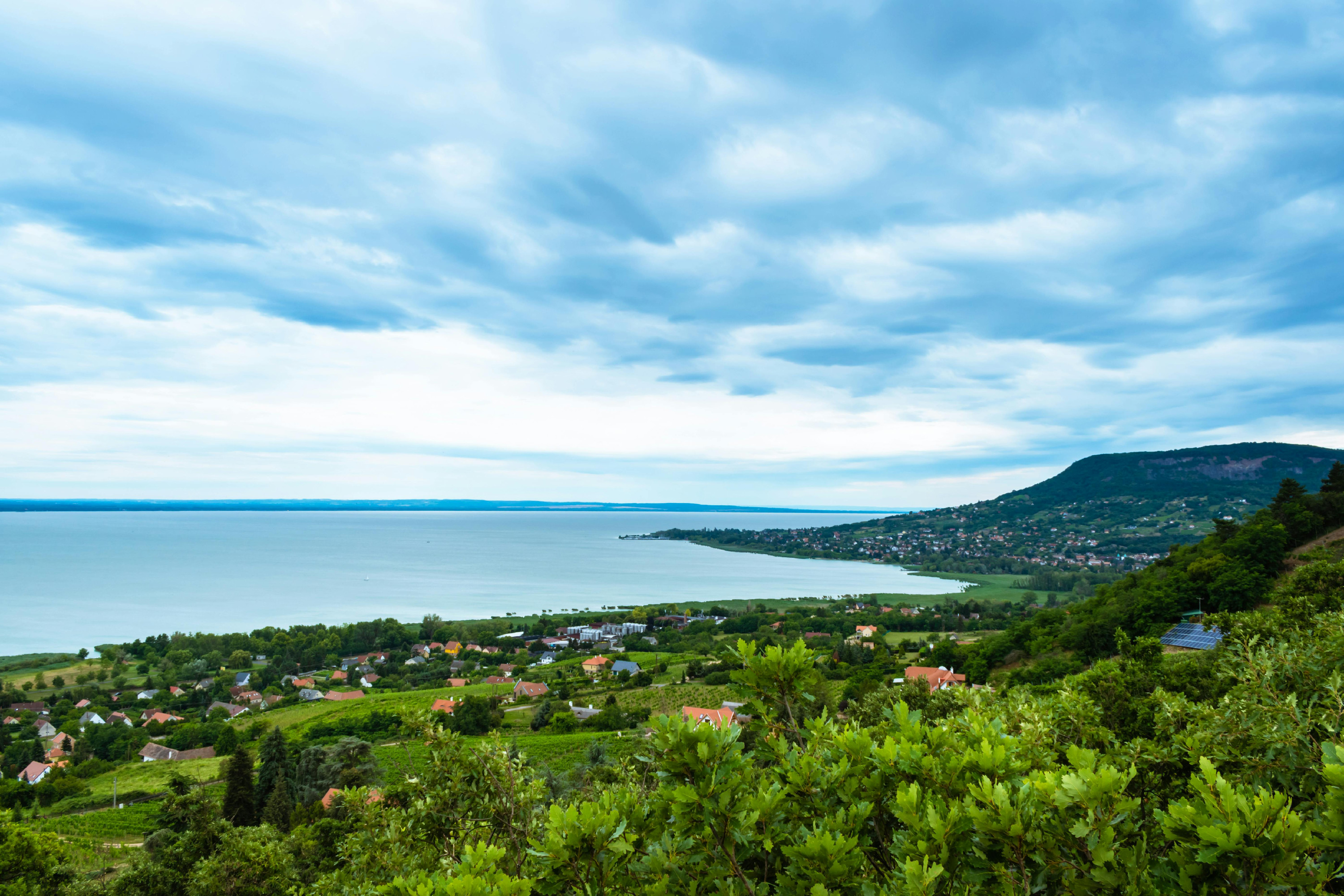 DNS-minták segítik a halállomány monitorozását a Balatonban