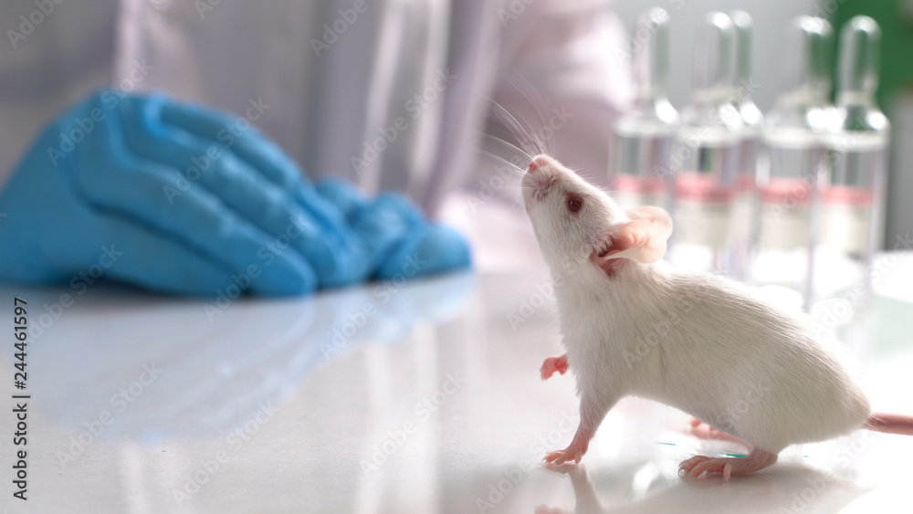 Artificial Tissue-Handling Microchips Developed by Hungarian Researchers Could Replace Animal Testing in Drug Evaluation
