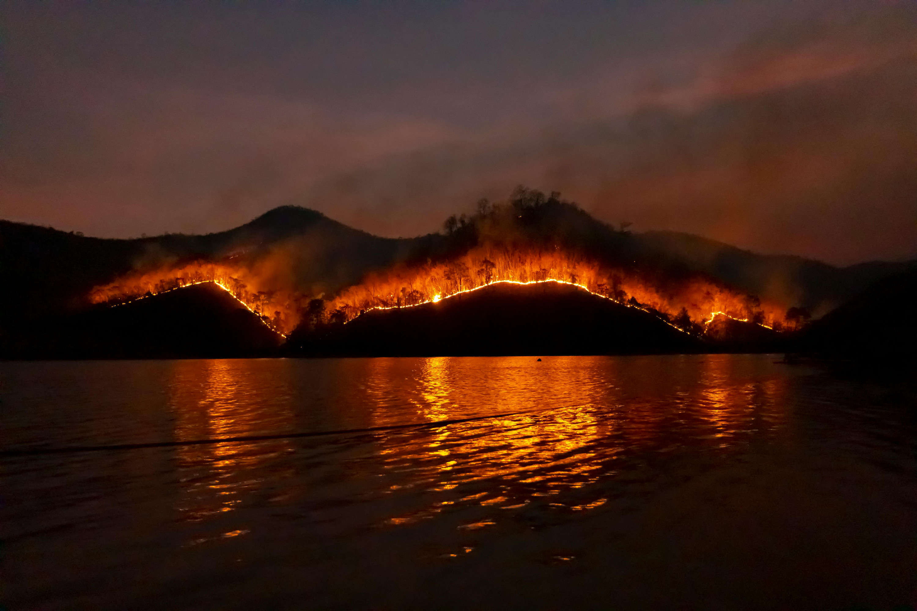Researchers Warn: Wildfire Threat Extends Beyond Southern Europe—Our Region Increasingly at Risk