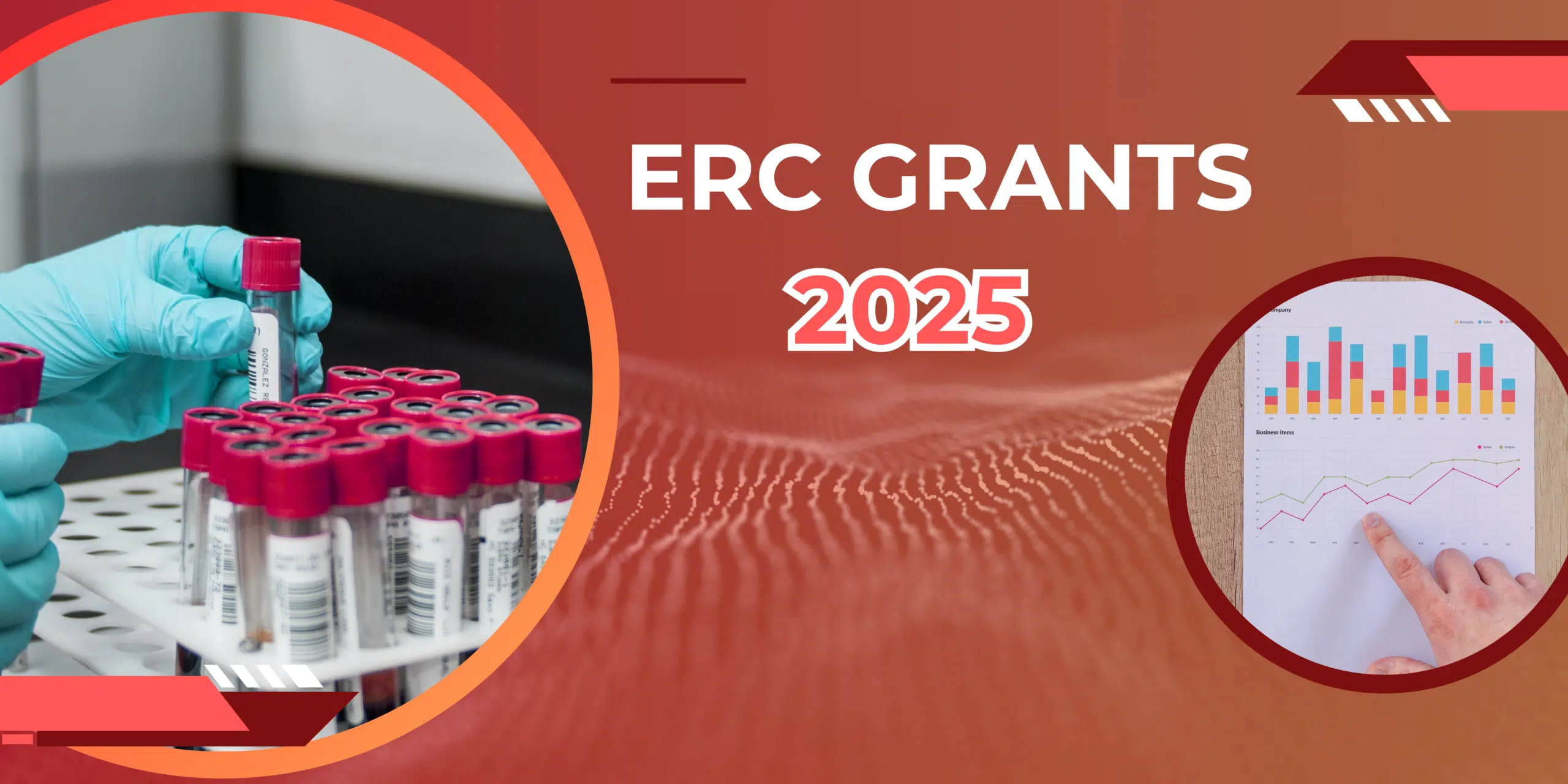 Újabb magyar kutatói siker