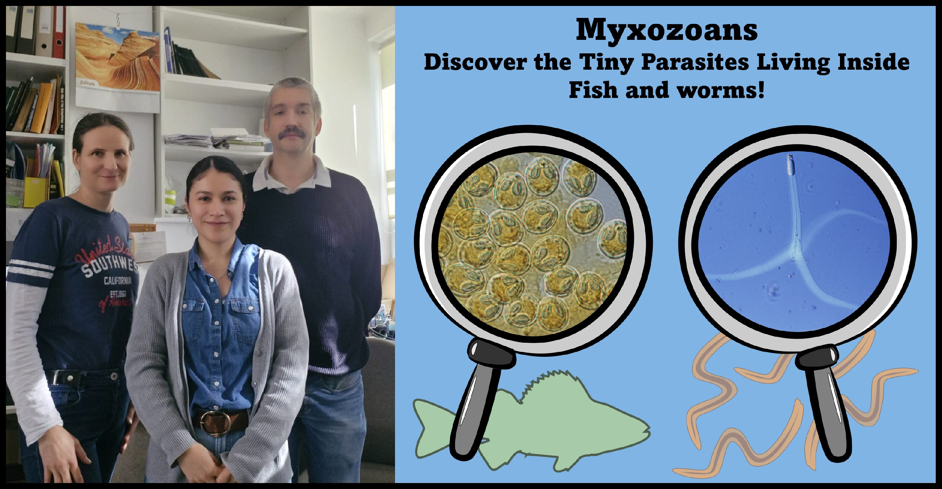 Cover_frontiersForYoungMinds