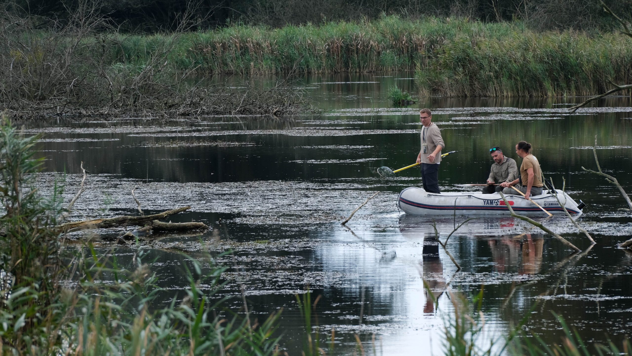 Mindent a Balatonról: elindult a tókutatás új, tudományos portálja 