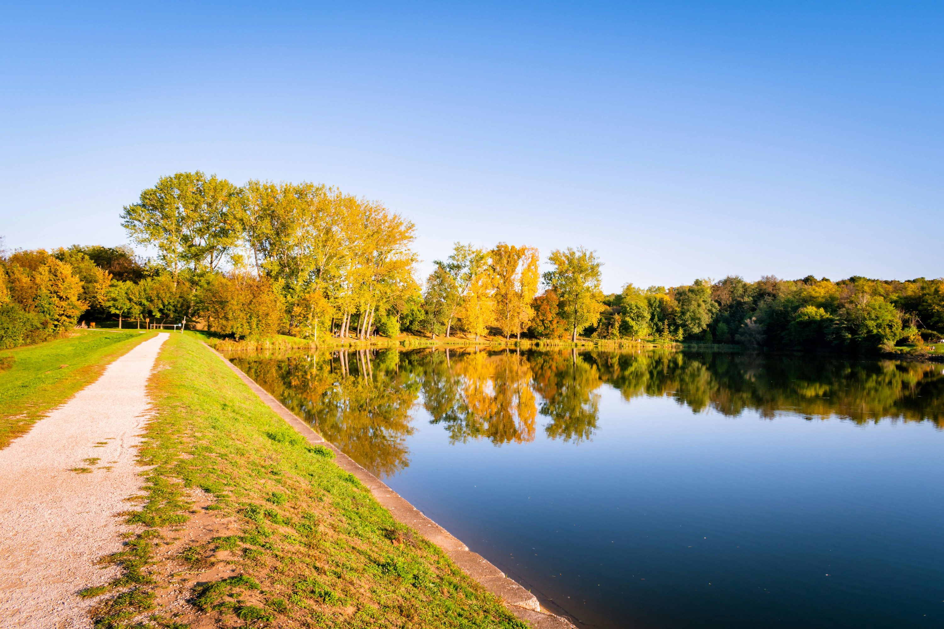 „Ha nem megfelelően kezelik őket, ökológiai csapdává válhatnak” – városi tavak nagy jelentősége és rejtett kockázatai 