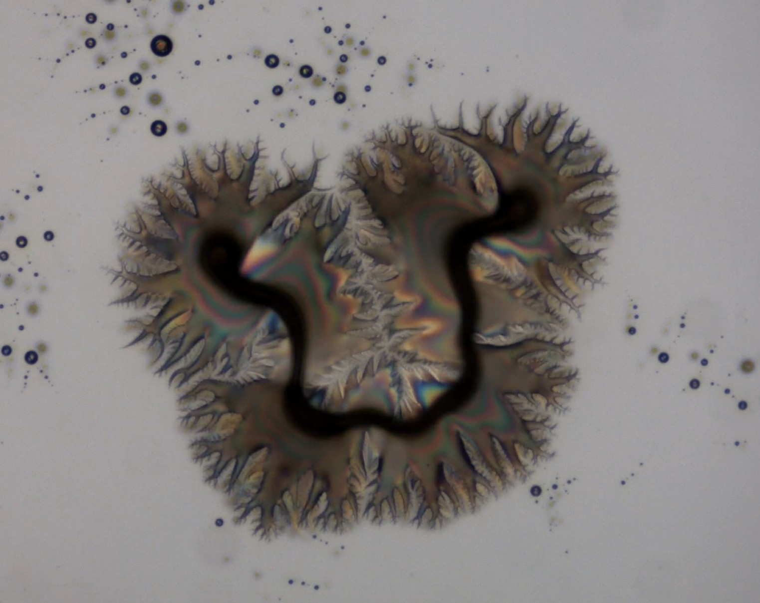 New Results in Research on the Ferroelectric Liquid Crystals