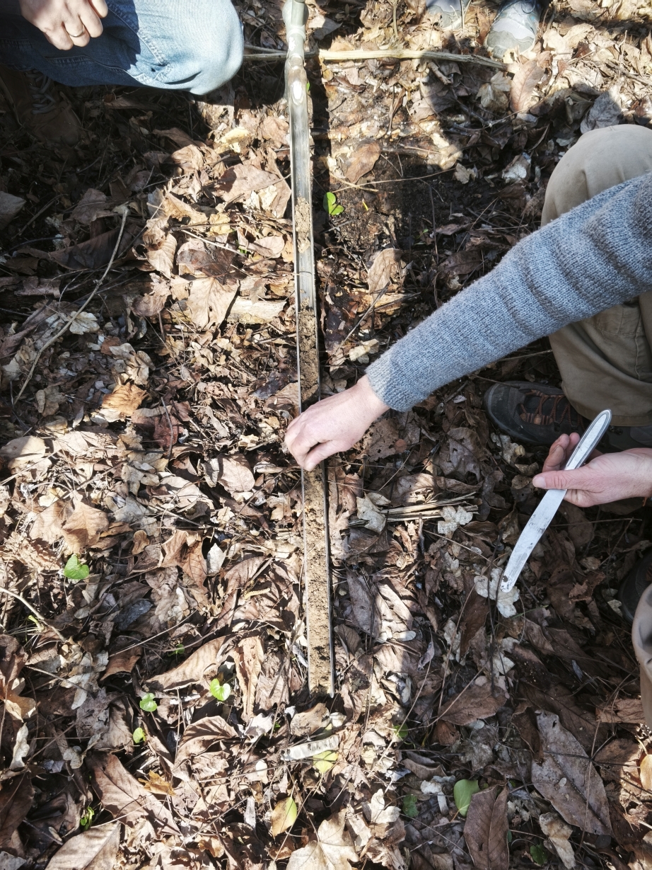 co2soil4