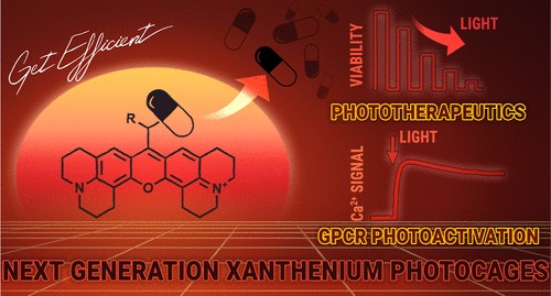 Light-Controlled Drugs: Hungarian Researchers Achieve a Breakthrough in Targeted Therapies