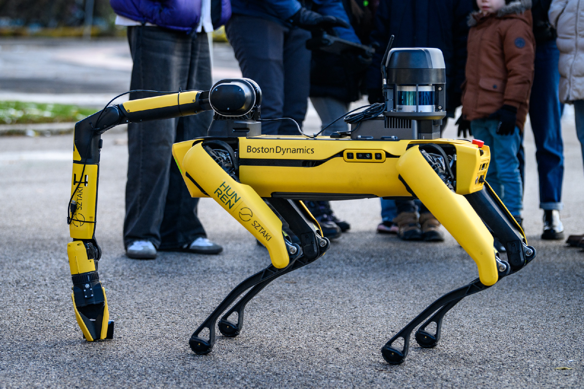 Science Expo a Szépművészetiben a HUN-REN SZTAKI robotkutyájával